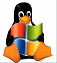 Diferencias entre Windows y Linux